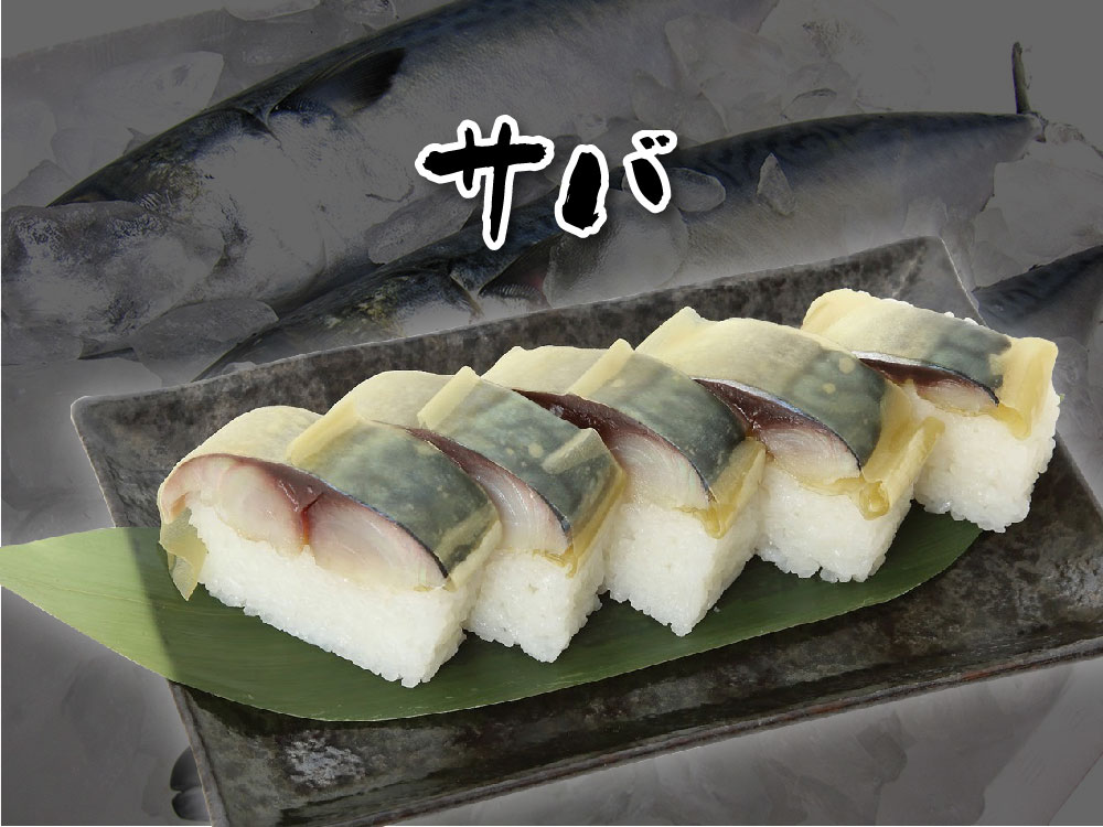鯖寿司　–　株式会社DCF埼玉　押し寿司の定番　５貫